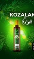Çam Kozalağı Özü 350 gr