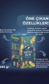 Zencefilli Macun