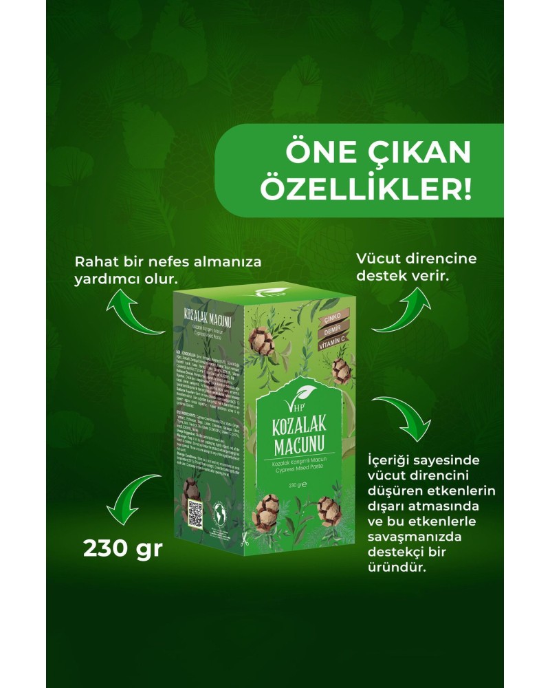 Kozalak Macunu 230 gr