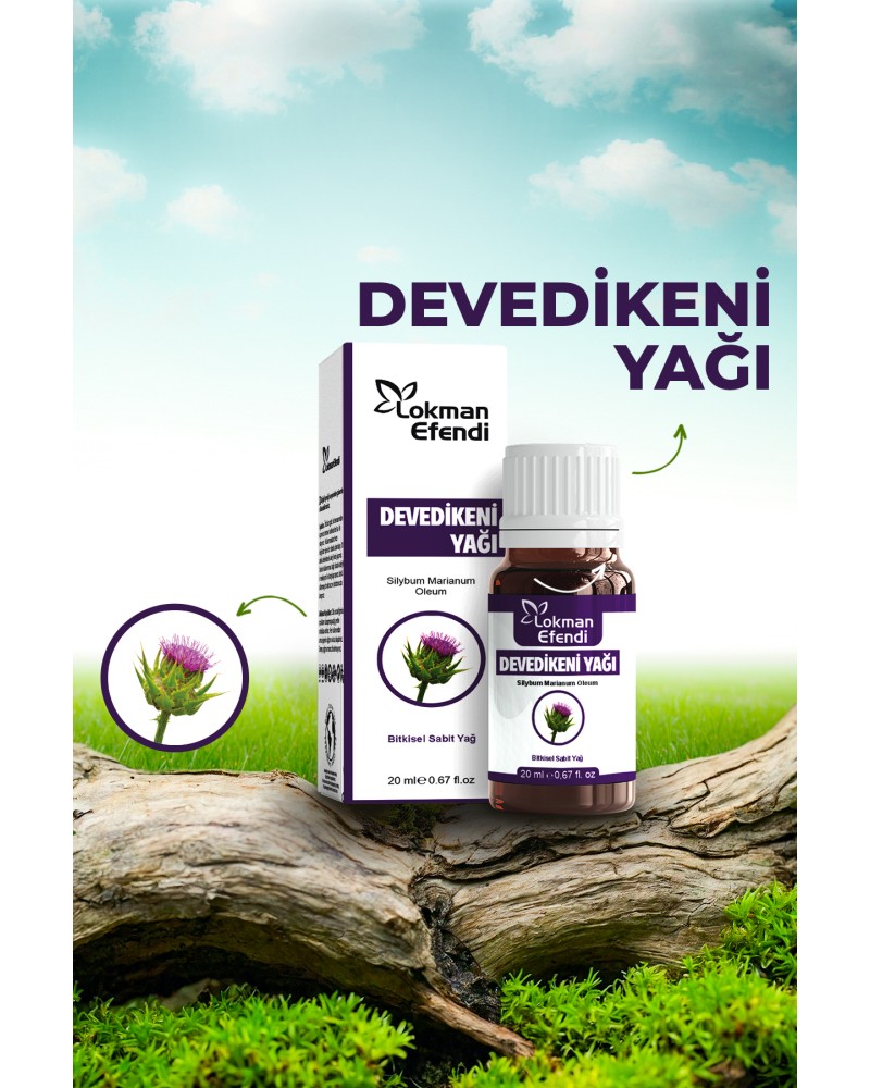 Lokman Efendi Deve Dikeni