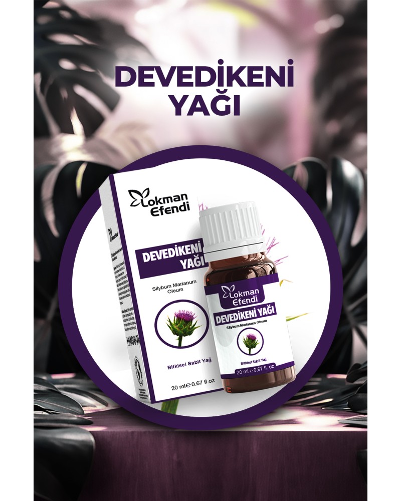 Lokman Efendi Deve Dikeni