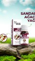 Lokman Efendi Sandal Ağacı Yağı 20 Cc