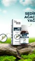Lokman Efendi Sedir Yağı