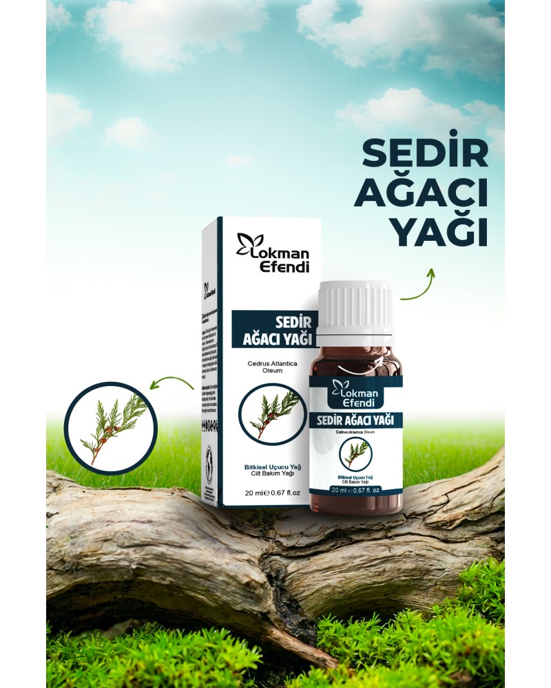 Lokman Efendi Sedir Yağı
