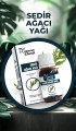 Lokman Efendi Sedir Yağı
