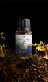 Adaçayı Yağı 10 ml