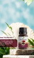 Karanfil Yağı 10 ml