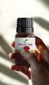 Karanfil Yağı 10 ml