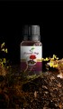 Karanfil Yağı 10 ml