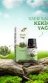 Kekik Yağı