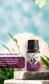 Lavanta Yağı 10 ml
