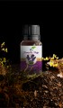 Lavanta Yağı 10 ml