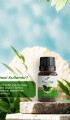 Nane Yağı 10 ml