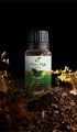 Nane Yağı 10 ml