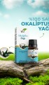 Okaliptus Yağı 10 ml