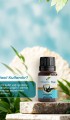 Okaliptus Yağı 10 ml