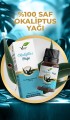 Okaliptus Yağı 10 ml